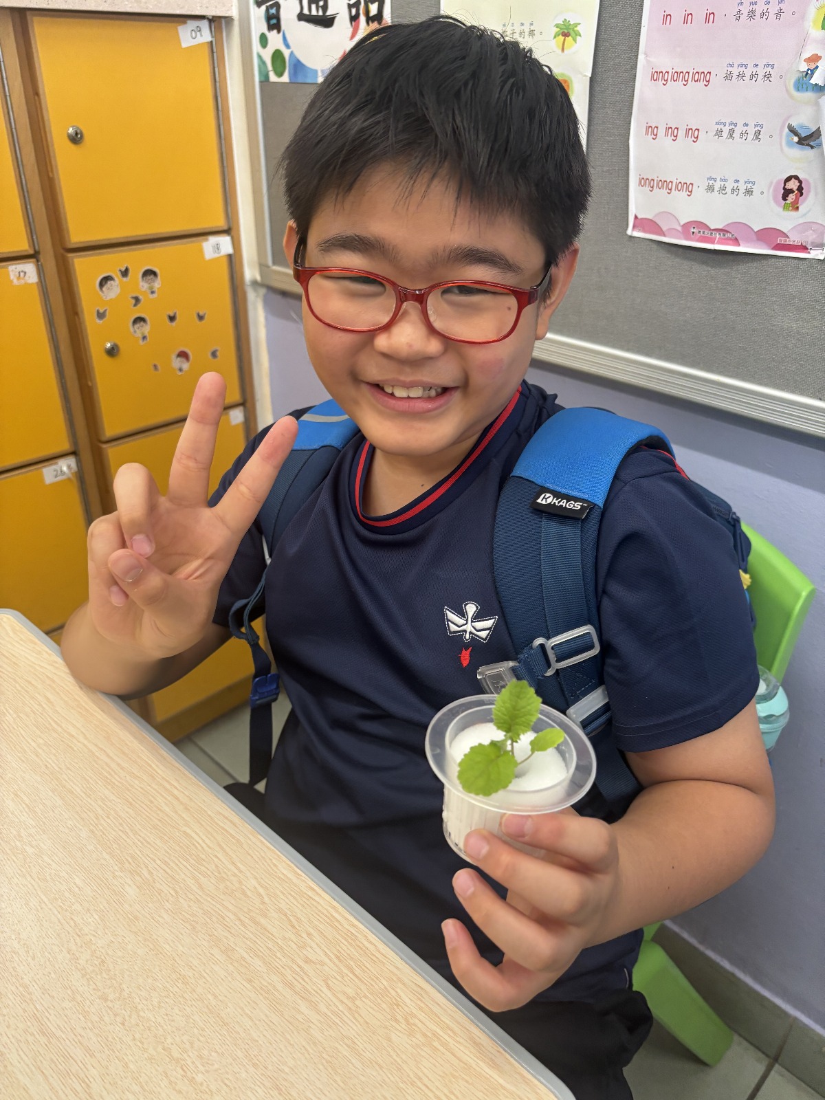 水耕種植體驗工作坊 - S.K.H. St. Clement's Primary School